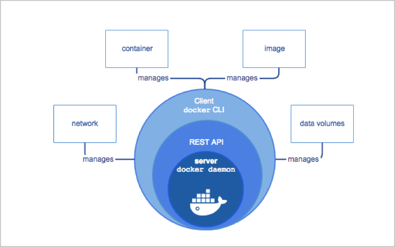 Infographic image with docker architecture